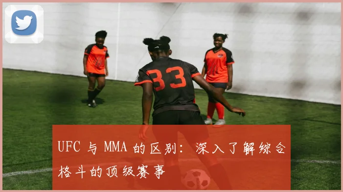 UFC 与 MMA 的区别:深入了解综合格斗的顶级赛事