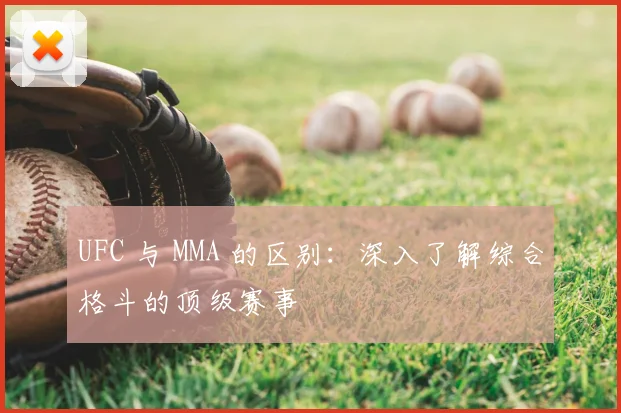 UFC 与 MMA 的区别：深入了解综合格斗的顶级赛事